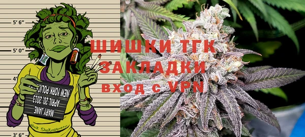 шишки Балахна