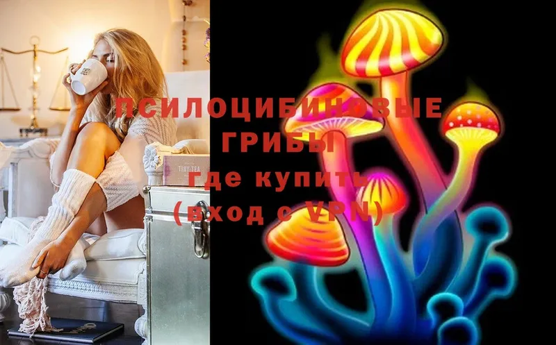 купить наркотики цена  Гвардейск  Псилоцибиновые грибы MAGIC MUSHROOMS 